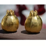 VIBHSA Pomegranate Salt and Pepper Shakers Set