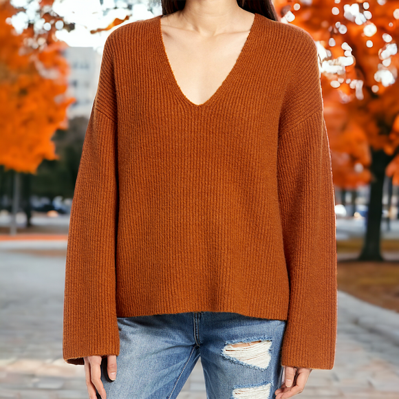 TREASURE & BOND Oversized Rust Sweater