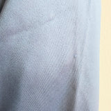 BCBG Double-Breasted Trench Coat