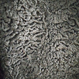 Vintage Persian Lamb & Mink Fur Short Coat