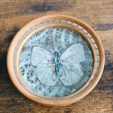 Vintage Pressed Butterfly Coasters, Set of 3