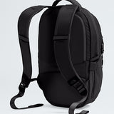 THE NORTH FACE Borealis Mini Backpack