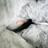 COACH Suede Ivy Boots