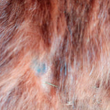 Vintage Mink Fur Cape