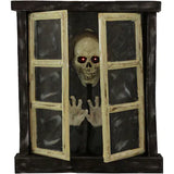 Animated Window Skeleton