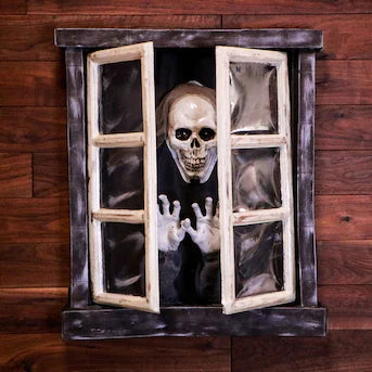 Animated Window Skeleton