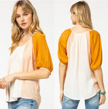 Silky Color Blocked Blouse