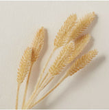 10" Faux Bleached Reed Straw Stem